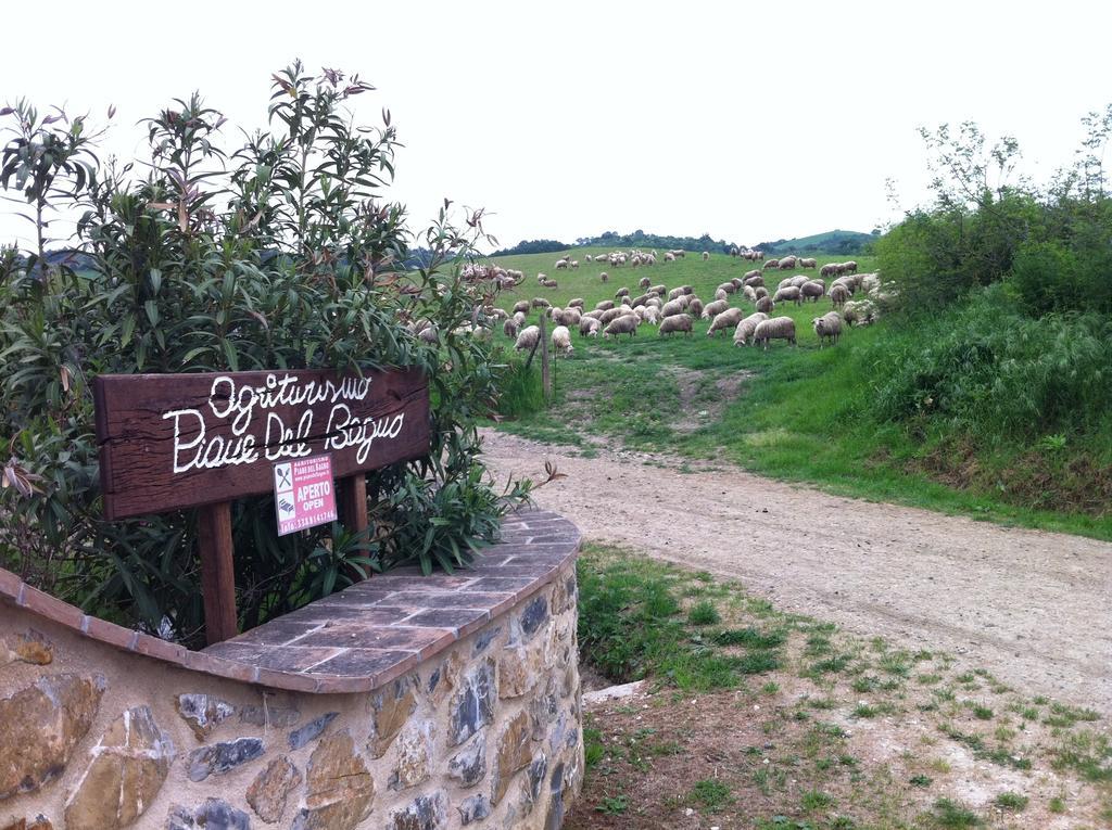 Villa Piane Del Bagno Saturnia Exterior foto