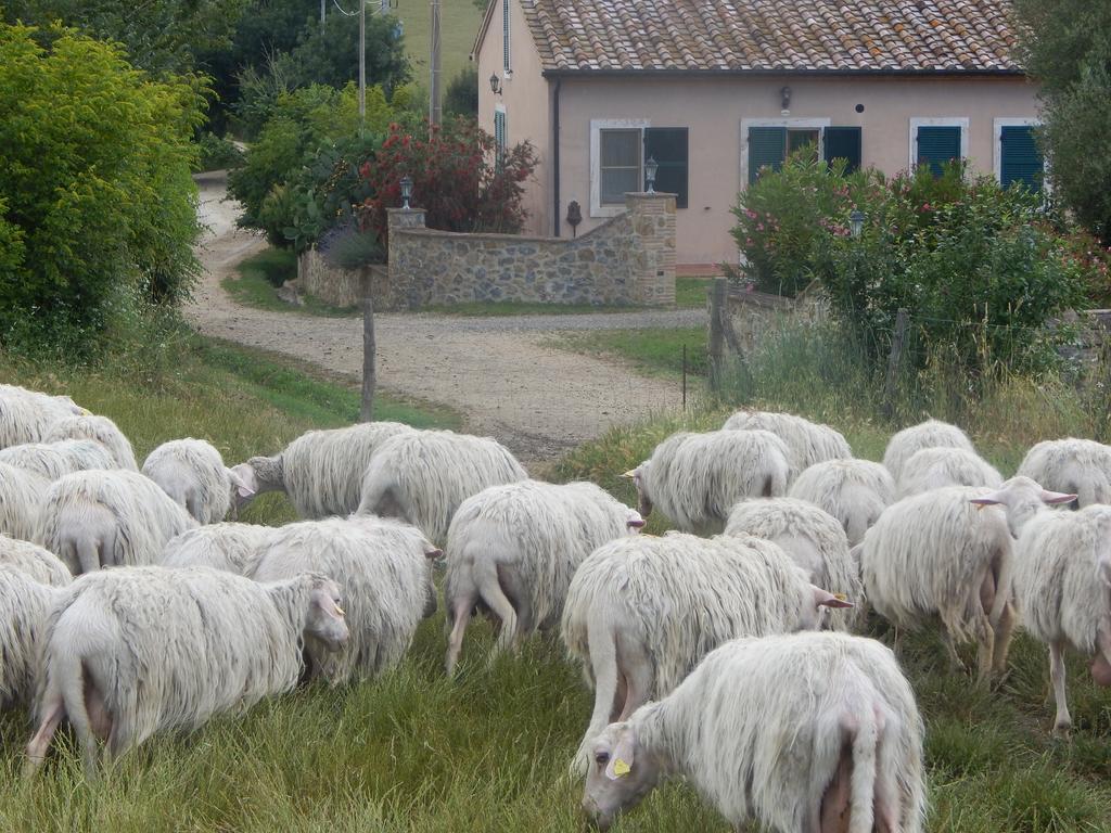 Villa Piane Del Bagno Saturnia Exterior foto