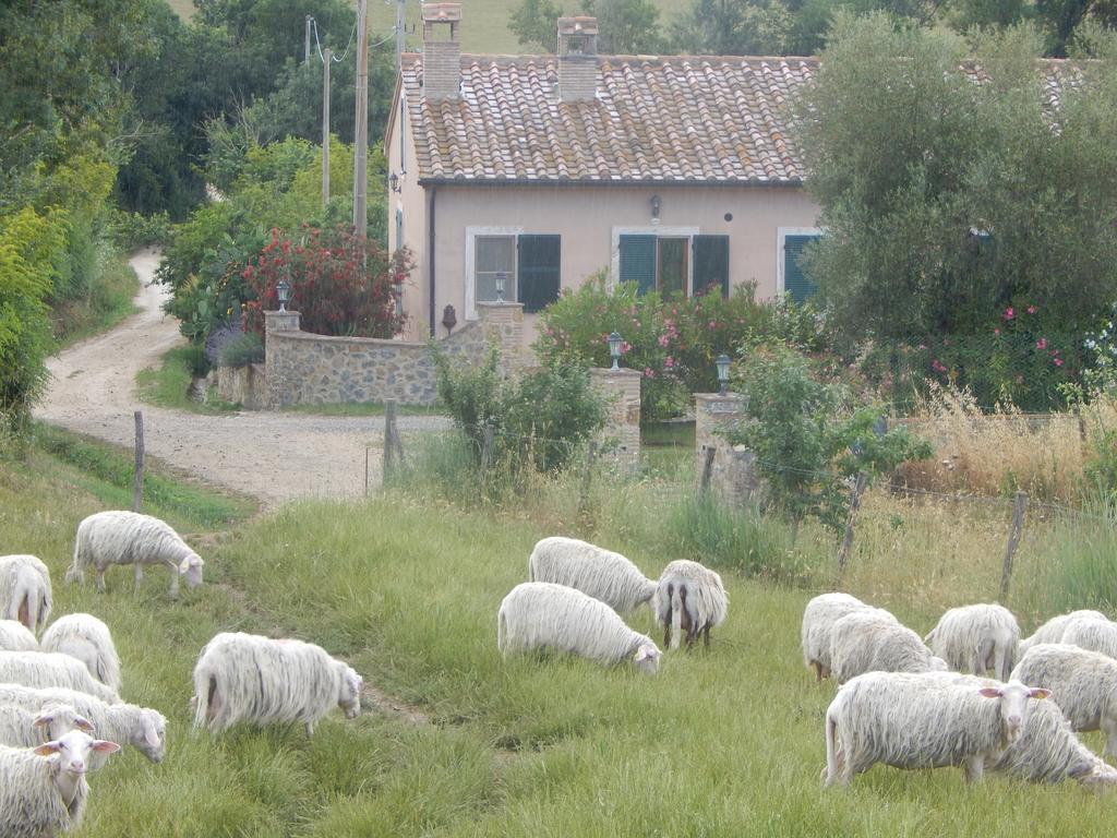 Villa Piane Del Bagno Saturnia Exterior foto