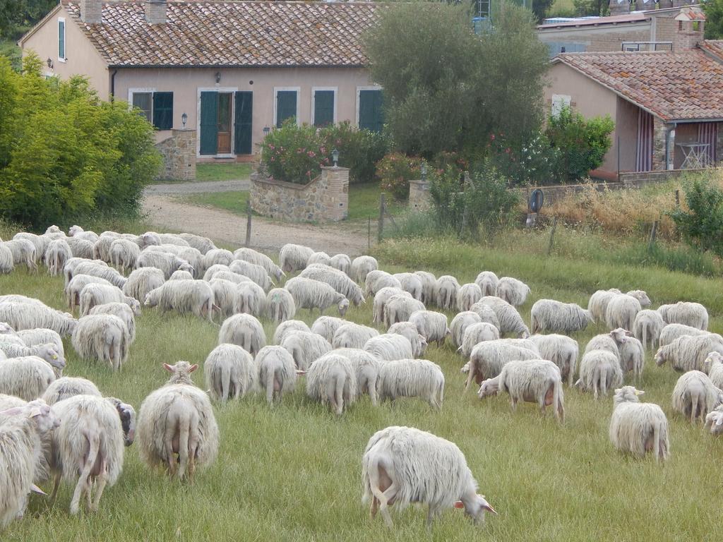 Villa Piane Del Bagno Saturnia Exterior foto