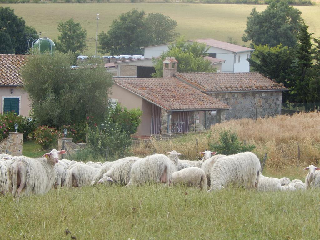 Villa Piane Del Bagno Saturnia Exterior foto