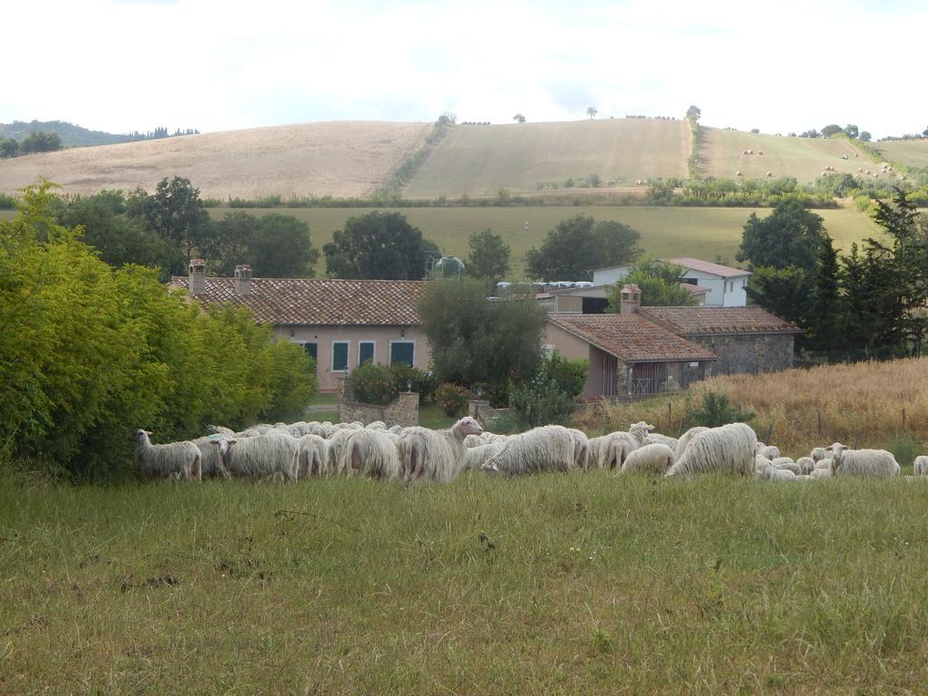 Villa Piane Del Bagno Saturnia Exterior foto
