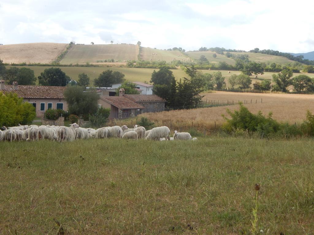 Villa Piane Del Bagno Saturnia Exterior foto