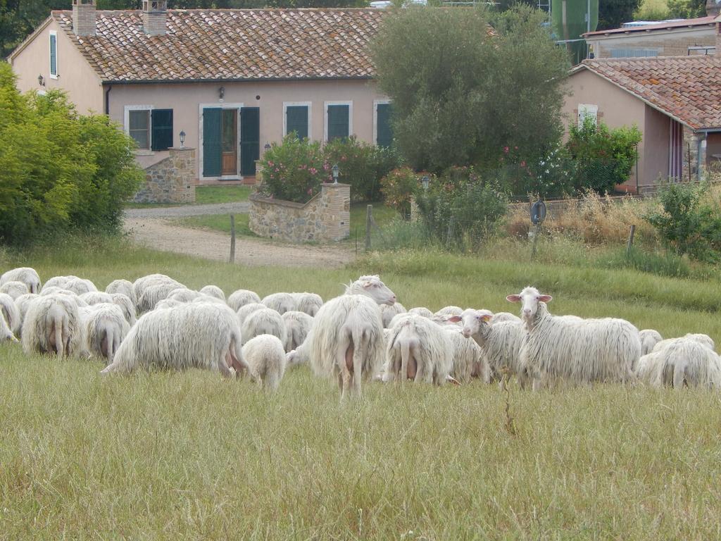 Villa Piane Del Bagno Saturnia Exterior foto