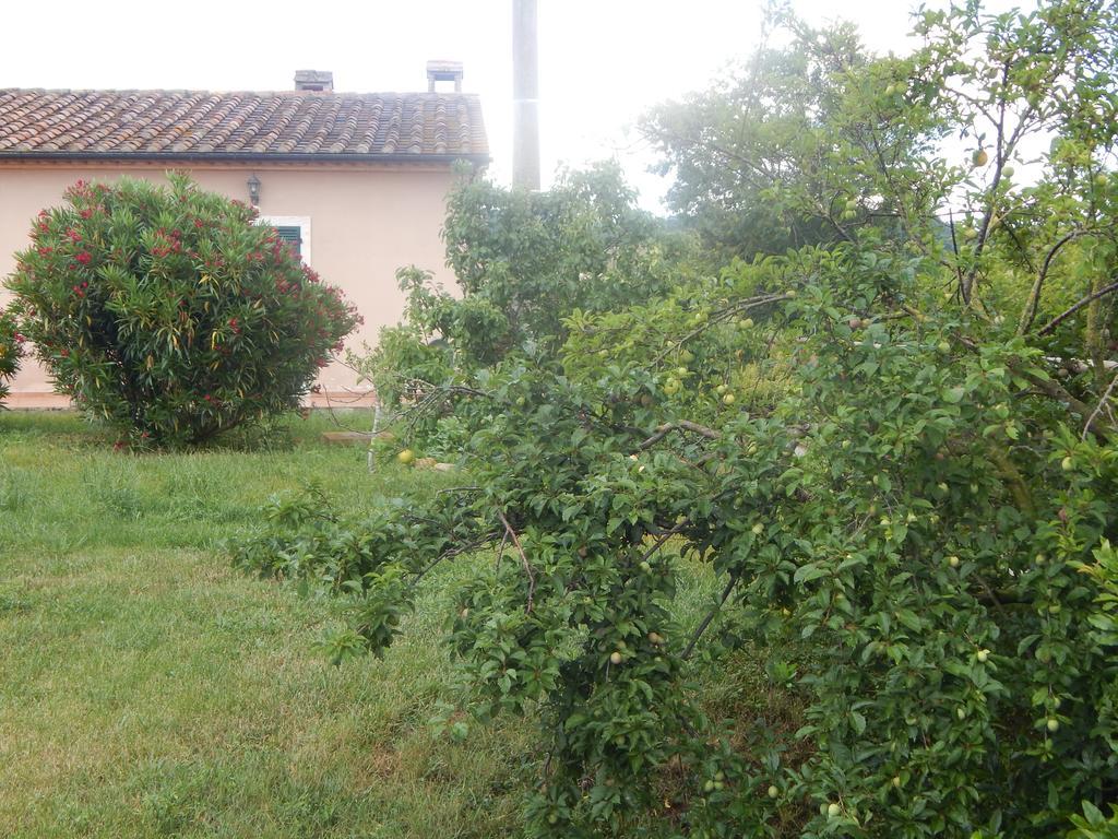 Villa Piane Del Bagno Saturnia Exterior foto